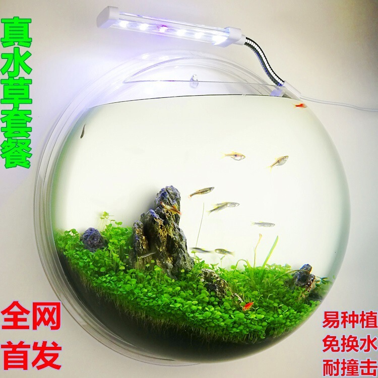 クリエイティブな花瓶、アクリルウォールステッカー、家の装飾、水槽、植木鉢、壁掛け、リビングルーム、レストラン|undefined