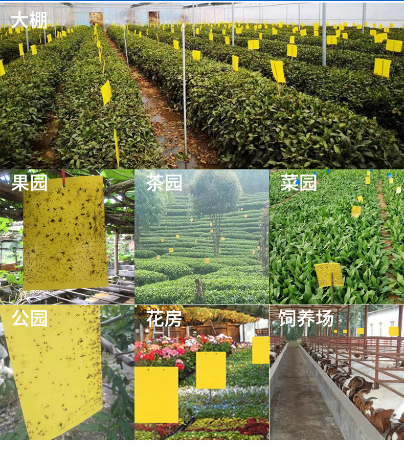 粘虫板详情页_15