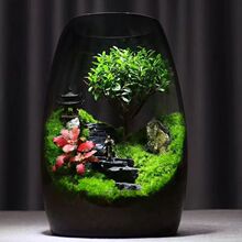 ɹ֮·^ƿ̦\ɽ΢[k׾Gֲ쾰辰