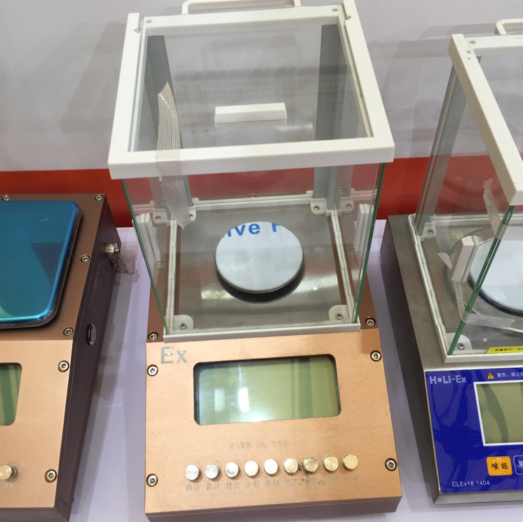 万分位0.1mg防爆分析天平 210g/0.0001g隔爆型电子天平ExdⅡbT6