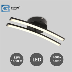 跨境現代簡約兩條黑白款吸頂燈燈具家裝臥室客廳過道走廊燈飾照明