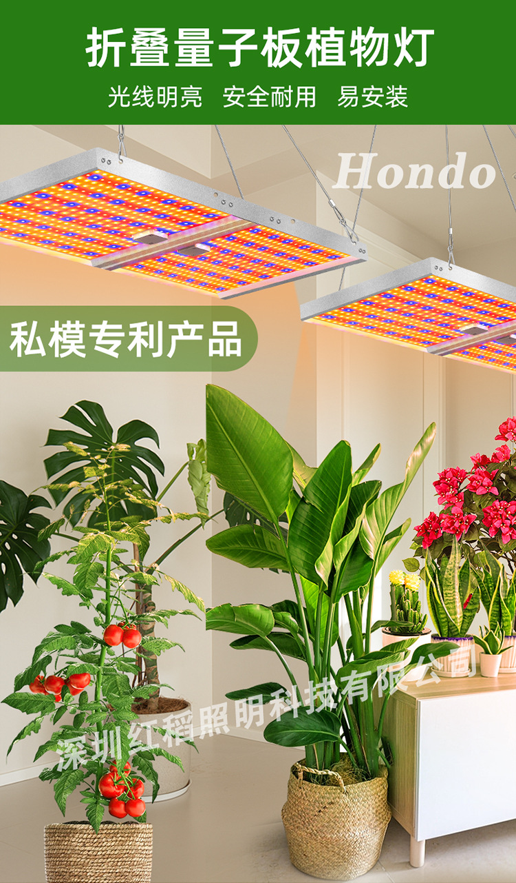 量子板植物灯详情_01.jpg