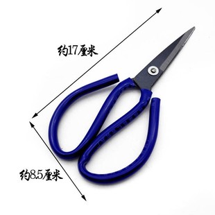 No. 2 Scissors King Household Pointed Civilian Scissors Tailor Scissors Street Stall Supply 2 Yuan Store Supply Wholesale