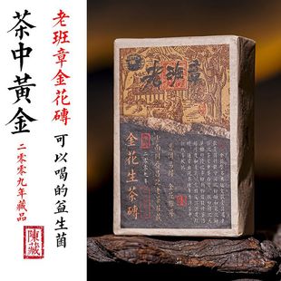 �ն�������u�� 2009���ն��ϲ�500�˲�u �ϰ��� �ն�����𻨴u