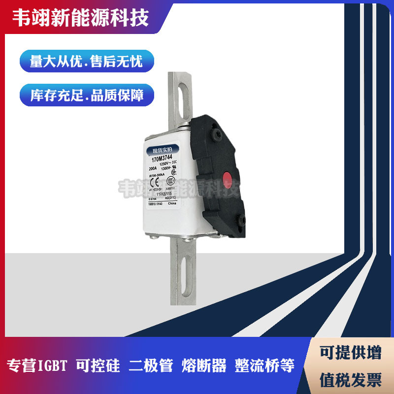 进口巴斯曼熔断器170M3758 170M3759 170M3760 170M3761 170M3762