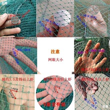�нY�r�\���r�W�Ӻ��з�\���~������С���r�W���~�\�W�M�\