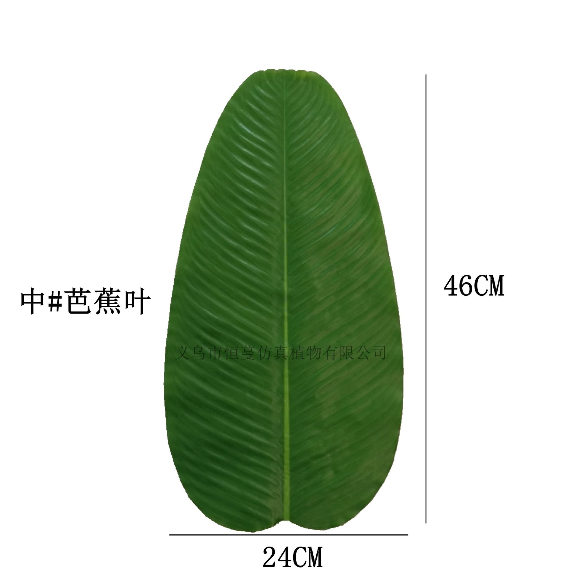 Daun pisang ukuran sedang