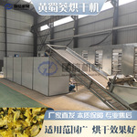 网带黄蜀葵烘干设备 全自动黄花莲鲜花药材干燥机 黄蜀葵花烘干机