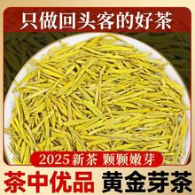 明前新茶黄金芽2025正宗牙茶叶浓香型安吉白茶礼盒装明前茶