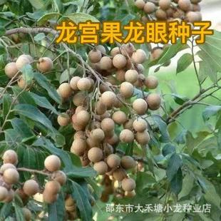 ����N������/���A�N�ӹ���������� �ͺ�Ʒ�N���߷N��