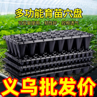 ����PѨ�P���������籭�������������P��������PѨ�P��P