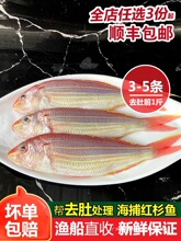 �tɼ�~���~���r������Ǻ��rˮ�a�����t����z�~���~�tɼ�~