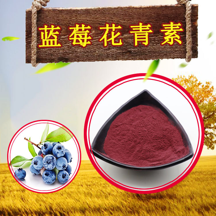 蓝莓花青素5%25%水溶性蓝莓提取物量大从优100g/袋蓝莓浓缩粉