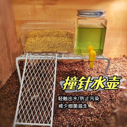 Rutin chicken feed box large capacity chicken striker kettle drinker bird quail splash automatic feeding and watering supplies