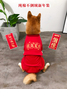Dragon year pet dog New Year clothes autumn and winter medium and small dog New Year greeting clothes Corgi Teddy French bucket Shiba Inu festive Tang suit