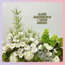 ?�׾Gɫϵ��c��ɭϵ��Y��·�����Ż�ˇ�nʽ��Y�b��c��