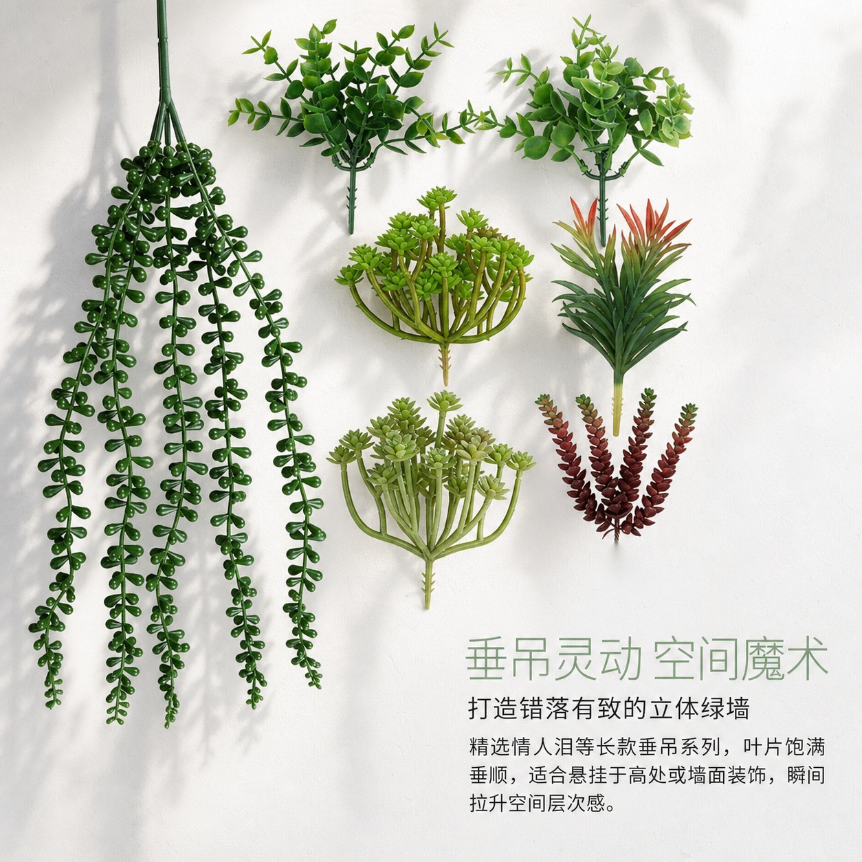 6101多肉详情页 (13).jpg