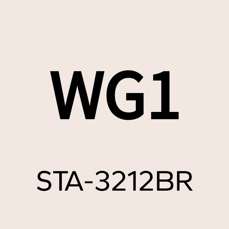 WG1