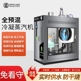 燃气蒸汽发生器大型工业锅炉食品蒸煮酿酒化工多吨位可选蒸汽机