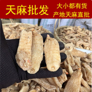 �������l�����ș������S��؛Դ�������؛�Ɏ�ĥ�����������Ƭ