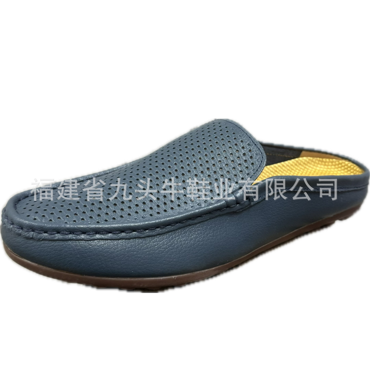 A8068 블루백