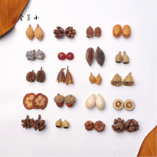 ��Ȼֲ����h�������diy���ӄ��₀�Զ��h���Ͽɐ���Ů���F���h