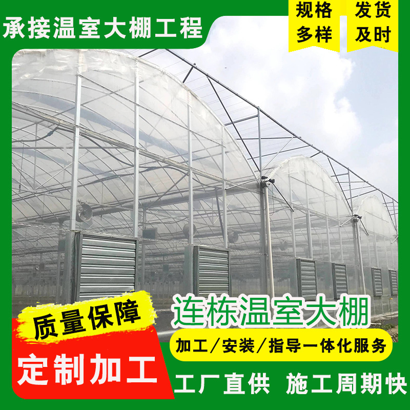 连栋大棚