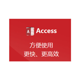 Microsoft (Microsoft) Access Database Software Access LTSC 2021