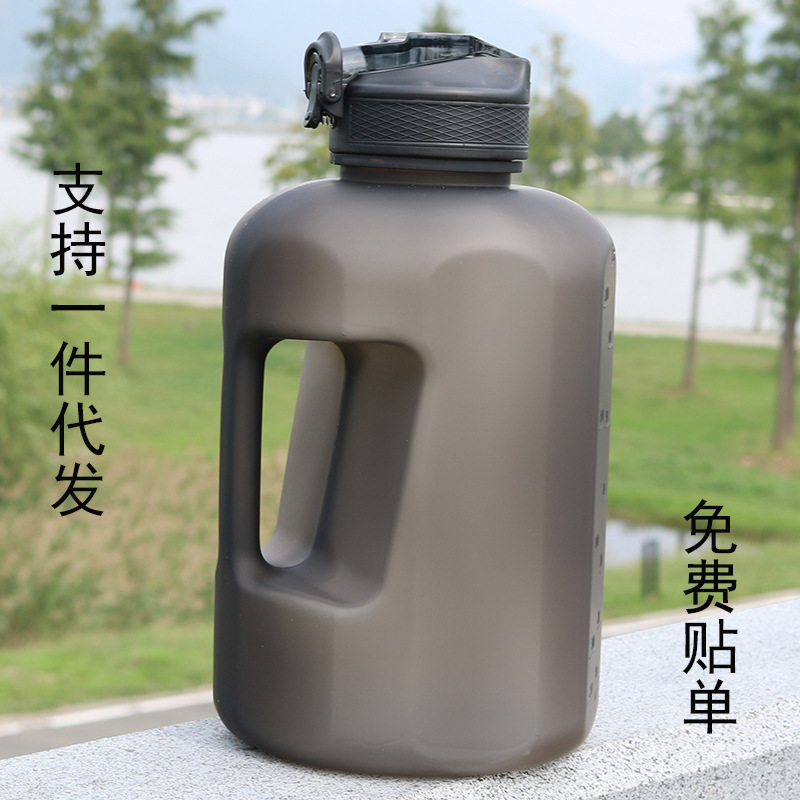 81.jpg?x-oss-process=image/format,png