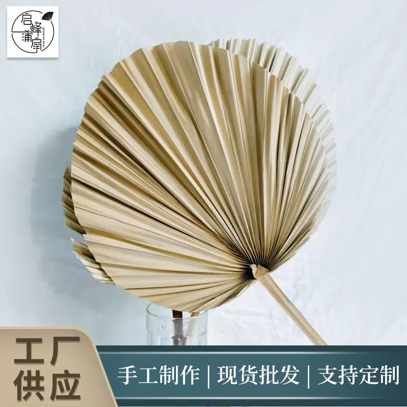 厂家供应棕榈叶蒲葵植物干花圆形自然风婚庆装饰陈列造景适用