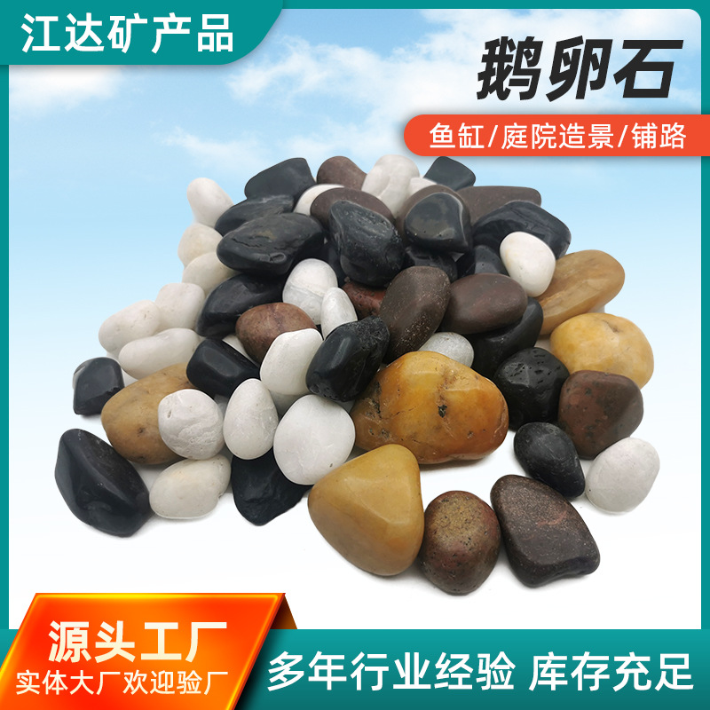 彩色鹅卵石园林造景铺路五彩抛光雨花石头盆景鱼缸水池垫底景观石