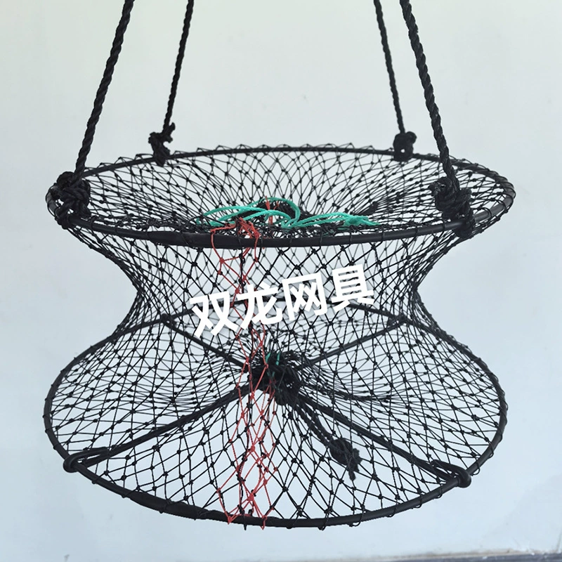 Циндао экспортирует японские устрицы и моллюски