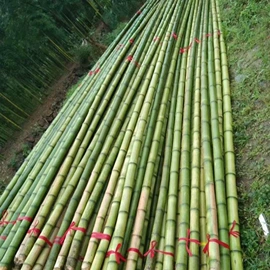 木板材;原木;园艺护栏