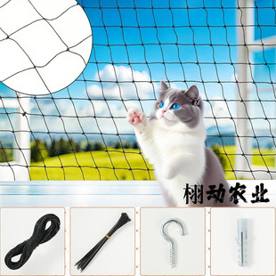 �羳؛Դ�̨�������ݾW������W�삐����W��ˤ��ȫ�WԴ�^���S