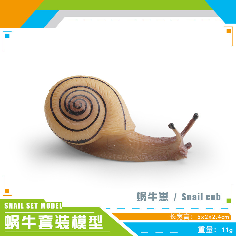 PL127-1734 Caracol 11g