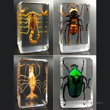 �挍���x�˱�͸����֬����С�[���׃��@�̌W�^�����ϐ��֩����x