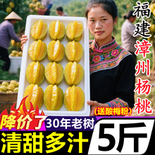 福建漳州杨桃新鲜水果大果5斤整箱阳甜酸杨桃新鲜杨桃清甜多汁