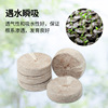 Jiffy seedlings nutritional soil compressing non -woven coconut bran magic soil medium independent packaging peat wholesale