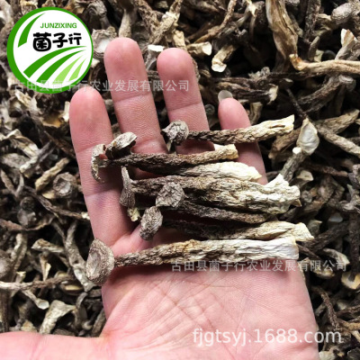 鹿茸菌菇干货500g土特产农副产品食用菌酒店食材批发OEM贴牌加工|ms