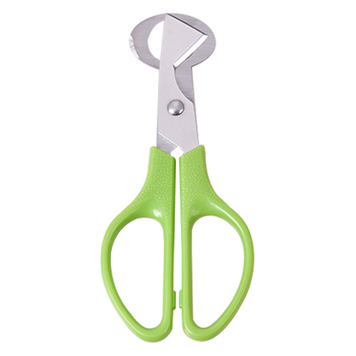 Practical kitchen gadgets stainless steel quail egg scissors egg scissors new bird egg scissors egg scissors egg beater