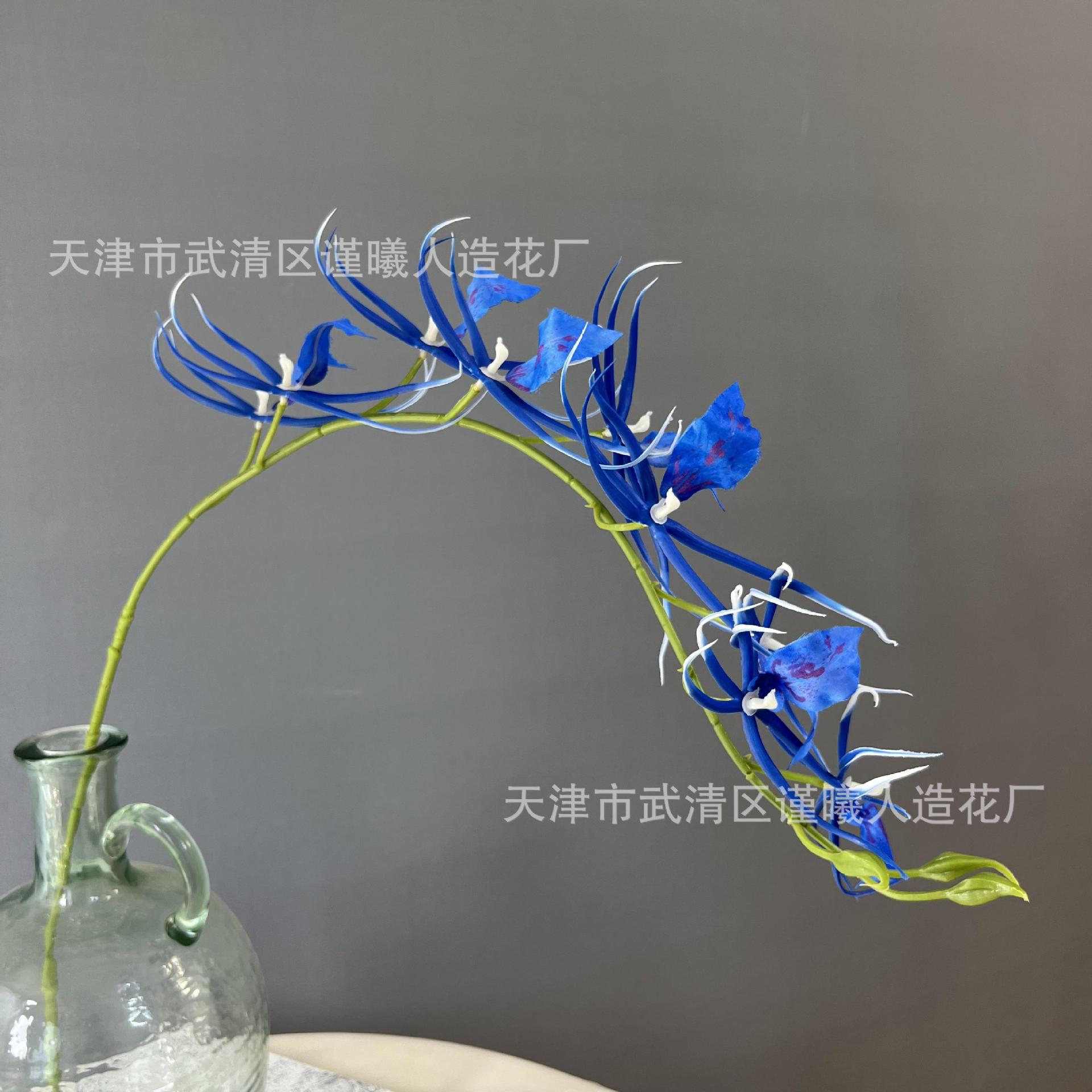천 새 난초