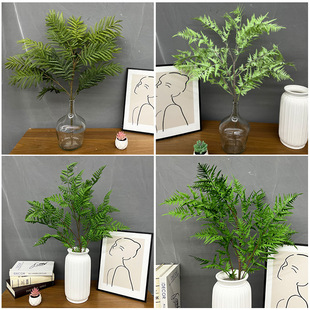 ܛzGֲ֦ާ沨˹ݚWʽާ~͏dҾֲb