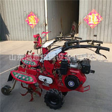 羊肚菌覆土机  红薯土豆起垄机汽油手扶开沟机
