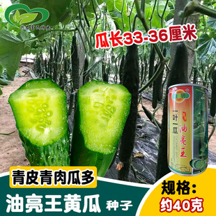 ����һ�~һ���������S�ϷN����Ƥ�����ֱ�����S�ϷN�� �������