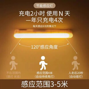 Physiological induction LED magnetic self-adhesive interior lighting for wardrobe, rechargeable light strip, wall lamp