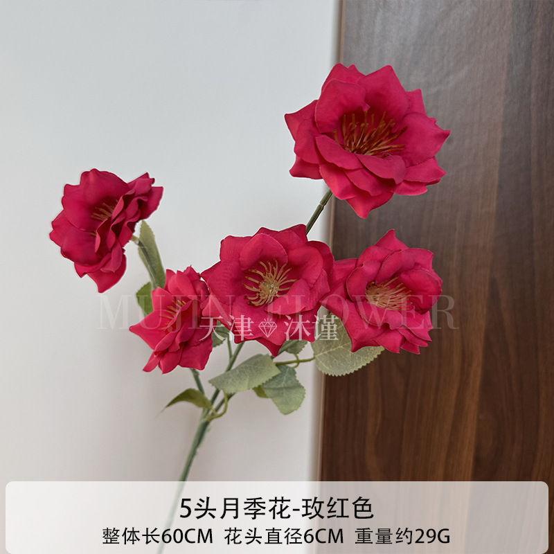5 flores rosas