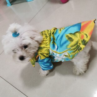 holdhoney�����·����l���·��������Sɫ��ϵ���Ԍ�ֱ�N�����u