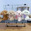 Mink teddy (single price}