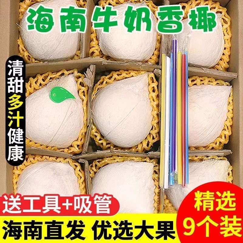 Хайнаньское молоко, кокосовое белое, свежие сезонные фрукты для беременных женщин с насыщенным кокосовым вкусом и соком, собранные свежие, целая коробка, оптовая доставка