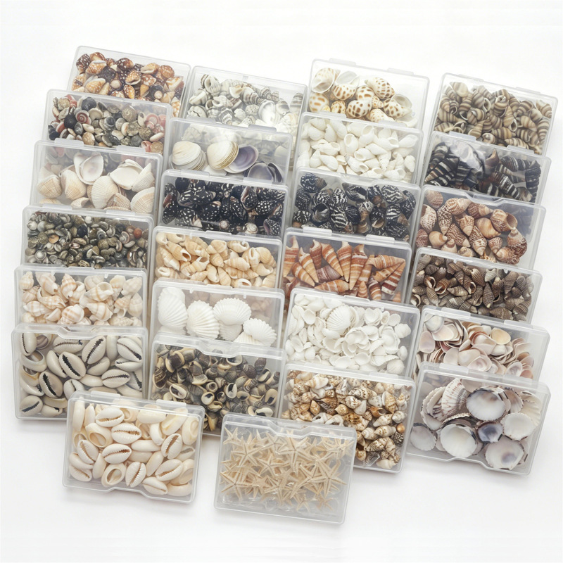 Natural Shells, Small Conch Shells, Starfish in a Box, Handmade DIY Materials, Wishing Bottle Fillers, Fish Tank Landscaping Decorations